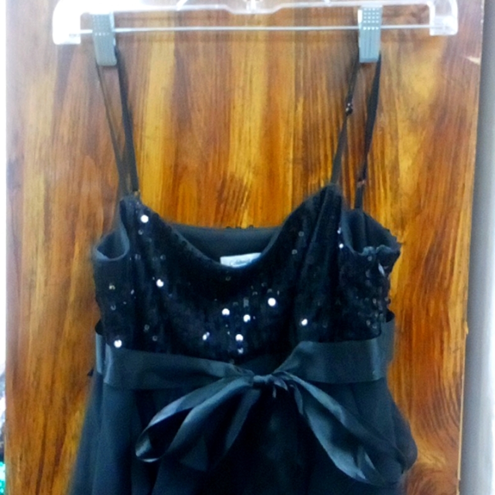 Coldwater Creek Black Sequenced Party Dress Size 6